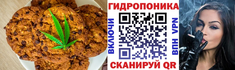 Купить  Шатура  Canna-Cookies конопля 