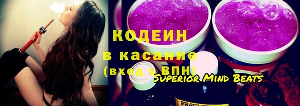 гашик Ельня