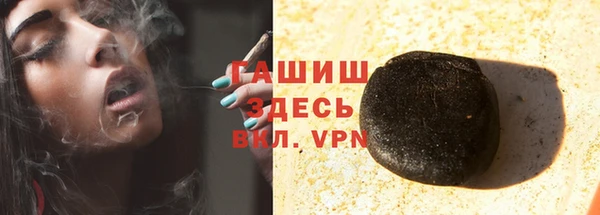 гашик Ельня