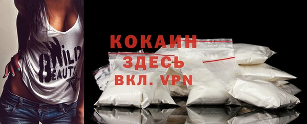 гашик Ельня