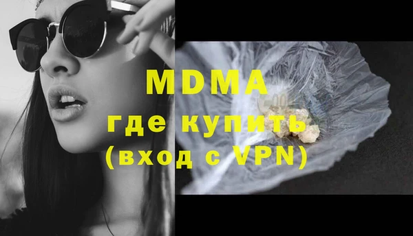 гашик Ельня