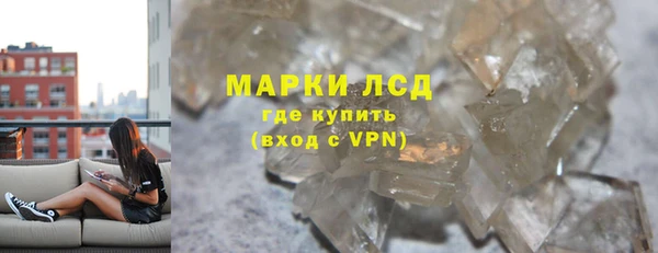 гашик Ельня