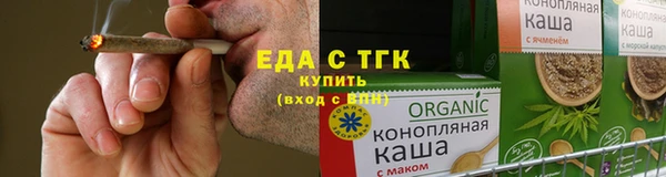 гашик Ельня