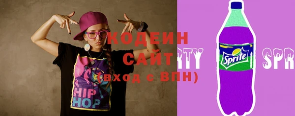 гашик Ельня