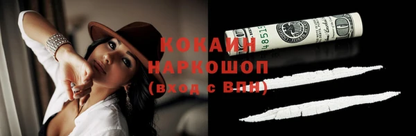 гашик Ельня