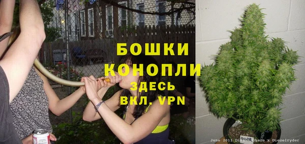 спайс Елизово