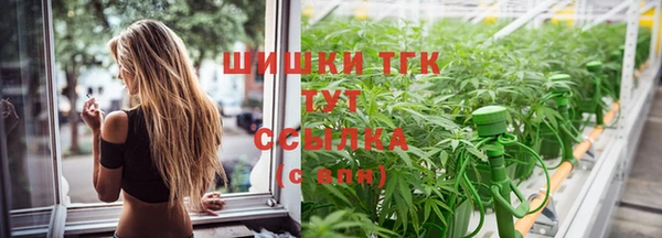 СК Елабуга