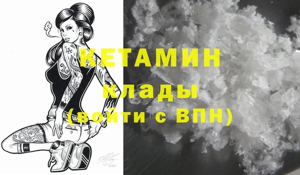 гашик Ельня