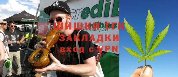 СК Елабуга