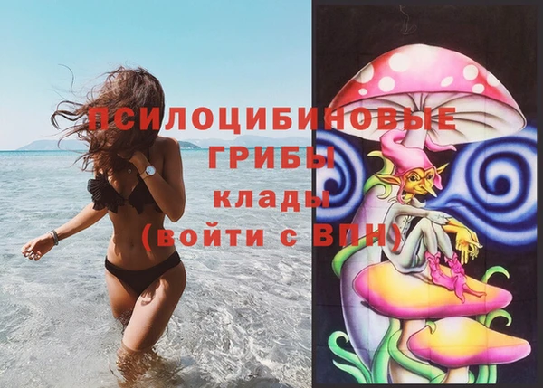 гашик Ельня