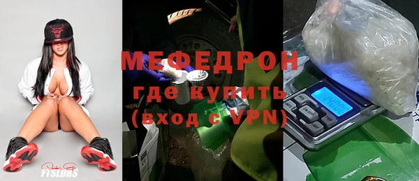 гашик Ельня