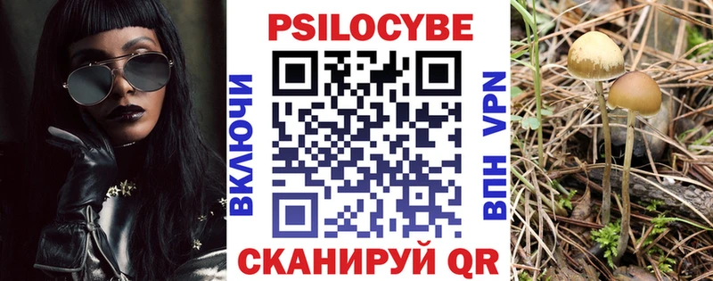 Галлюциногенные грибы прущие грибы  Купить закладки  Шатура 